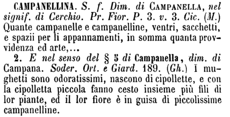 campanellina