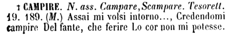 campire-21276