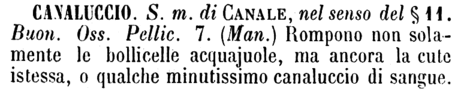 canaluccio