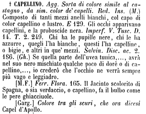 capellino