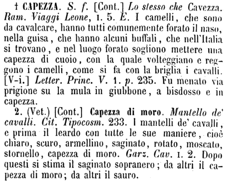 capezza