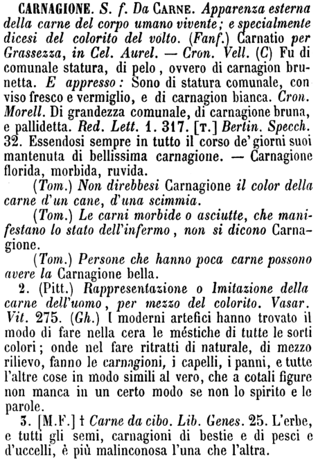 carnagione