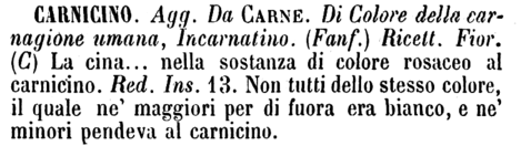 carnicino