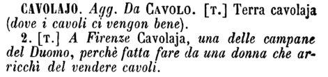 cavolajo