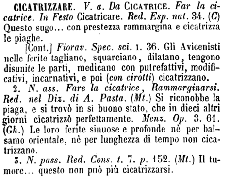 cicatrizzare