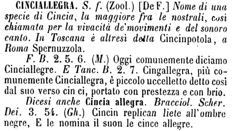 cinciallegra