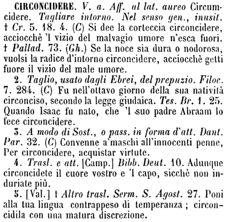 circoncidere