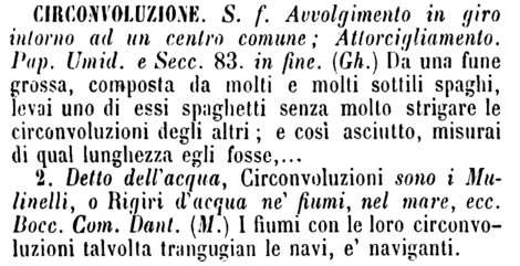 circonvoluzione