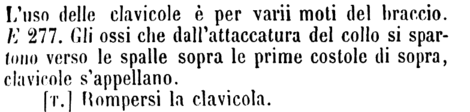 clavicola