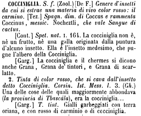 cocciniglia