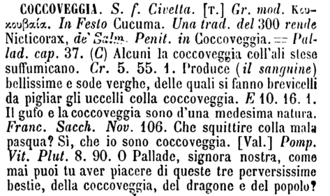 coccoveggia