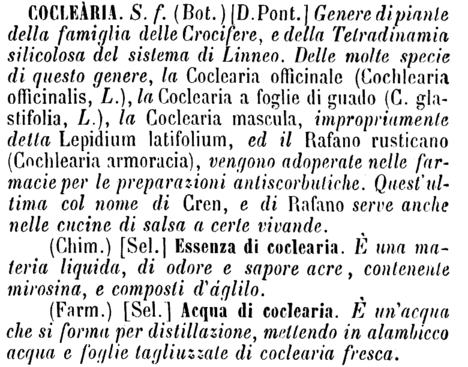 coclearia