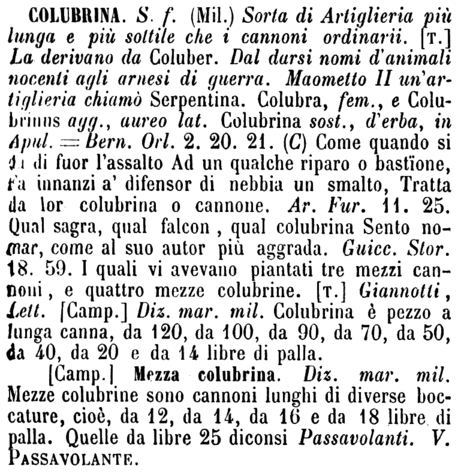 colubrina