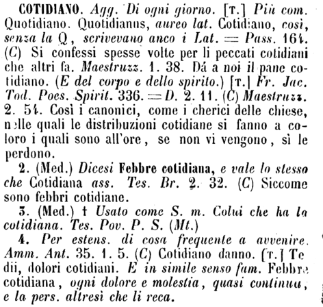 cotidiano