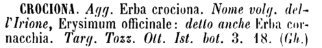 crociona-32407