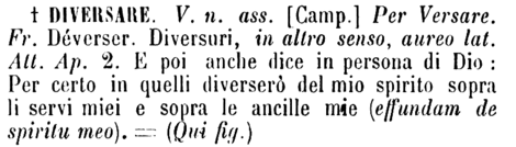 diversare-40185