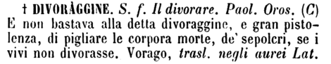 divoraggine