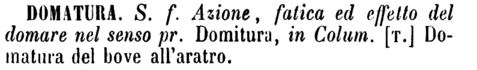 domatura