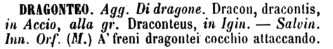 dragonteo