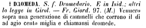 dromeda