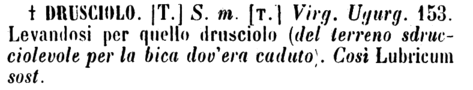 drusciolo