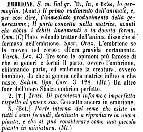 embrione