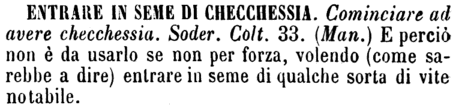 entrare-in-seme-di-checchessia