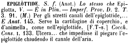 epiglottide