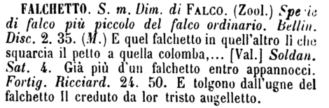 falchetto