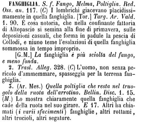 fanghiglia