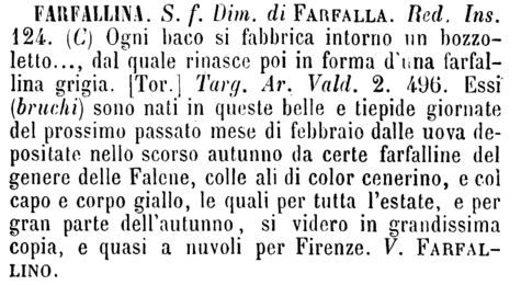 farfallina