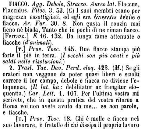 fiacco-47341