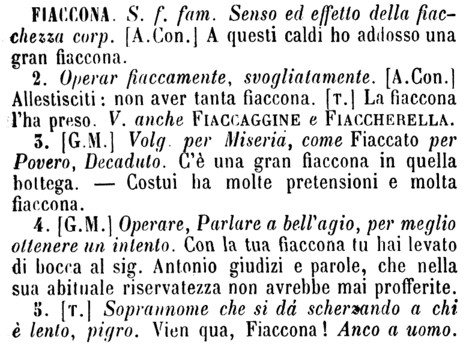 fiaccona