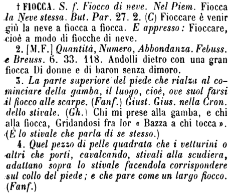 fiocca