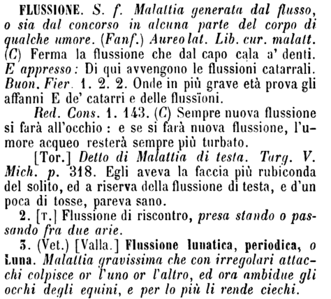 flussione