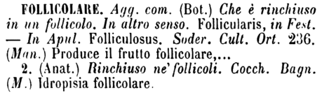 follicolare