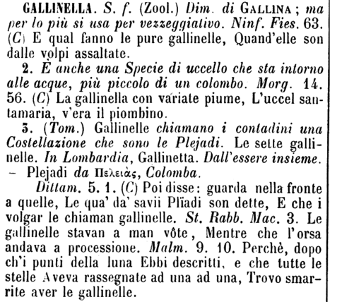 gallinella