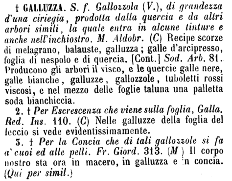 galluzza