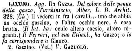 gazzino