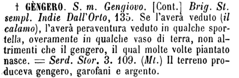 gengero