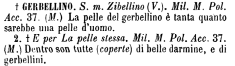 gerbellino