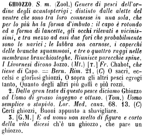 ghiozzo-52132