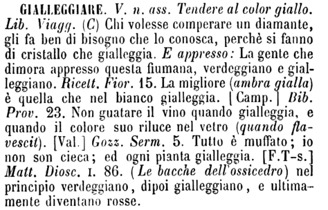 gialleggiare