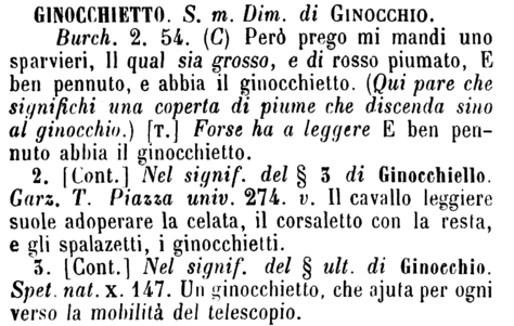 ginocchietto