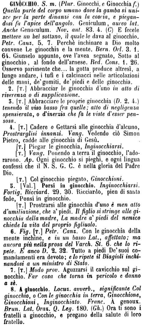 ginocchio