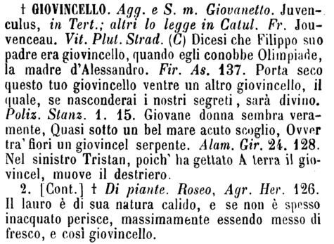 giovincello