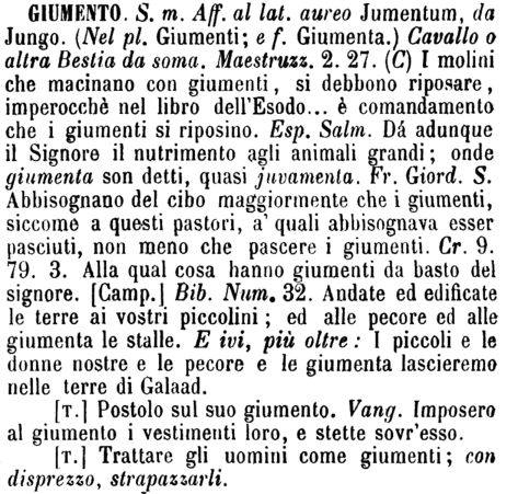 giumento