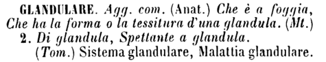 glandulare