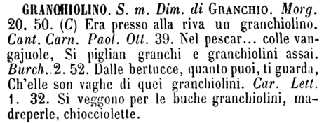 granchiolino