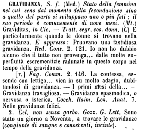 gravidanza